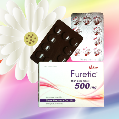 フレティック / フロセミド (Furetic) 500mg 100錠