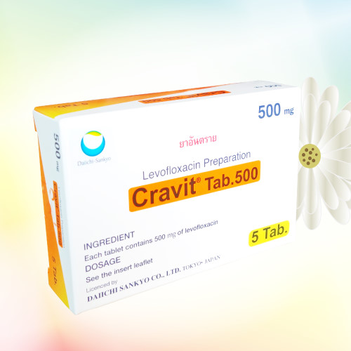 クラビット (Cravit) 500mg 10錠 (5錠x2シート)