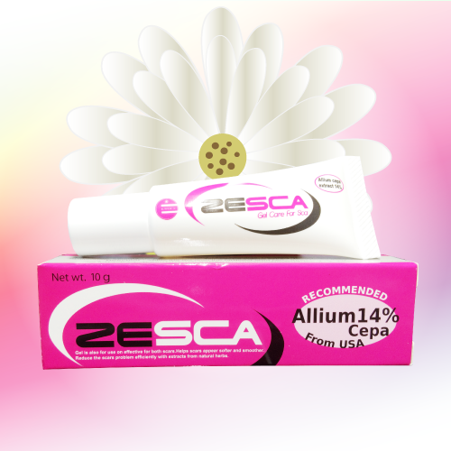 Zesca (スカージェル) 10g 2本