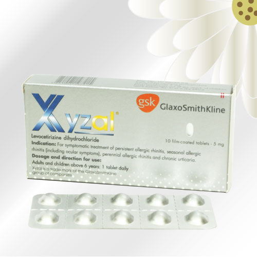 ザイザル (Xyzal) 5mg 60錠 (10錠x6シート)