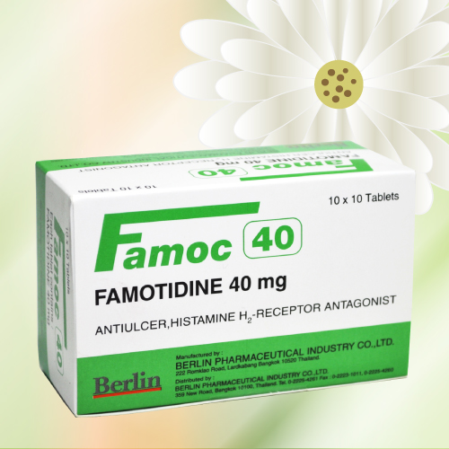 ファモック / ガスター (Famoc) 40mg 100錠