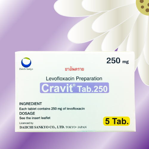 クラビット (Cravit) 250mg 30錠 (5錠x6シート)