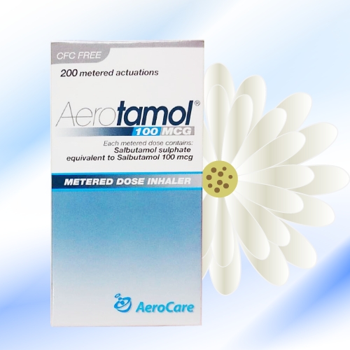 エアロターモル吸入器 (Aerotamol) 100mcg 2箱